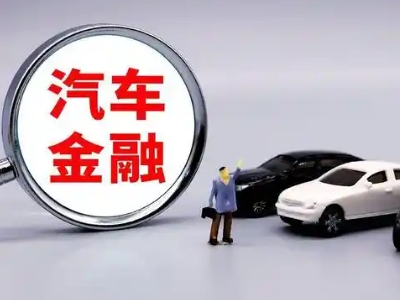 番阳押车贷款不是本人可以么?